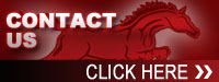 Contact Us.jpg